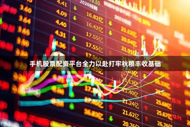 手机股票配资平台全力以赴打牢秋粮丰收基础