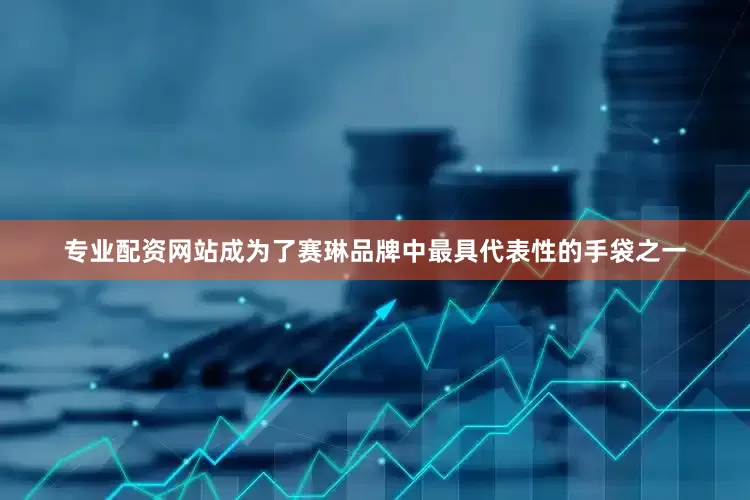 专业配资网站成为了赛琳品牌中最具代表性的手袋之一